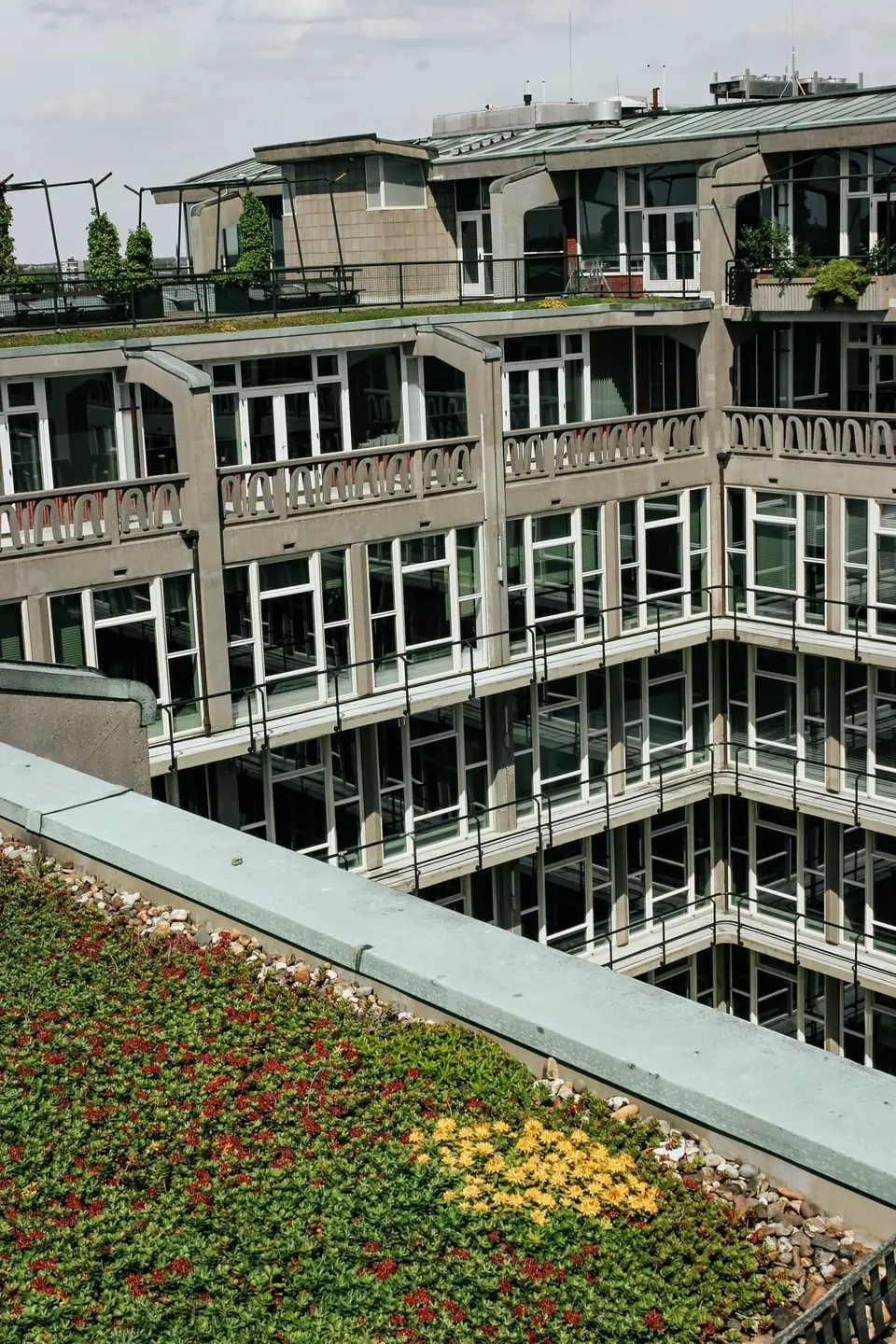 Dachbegrünung – Reuterdach Köln